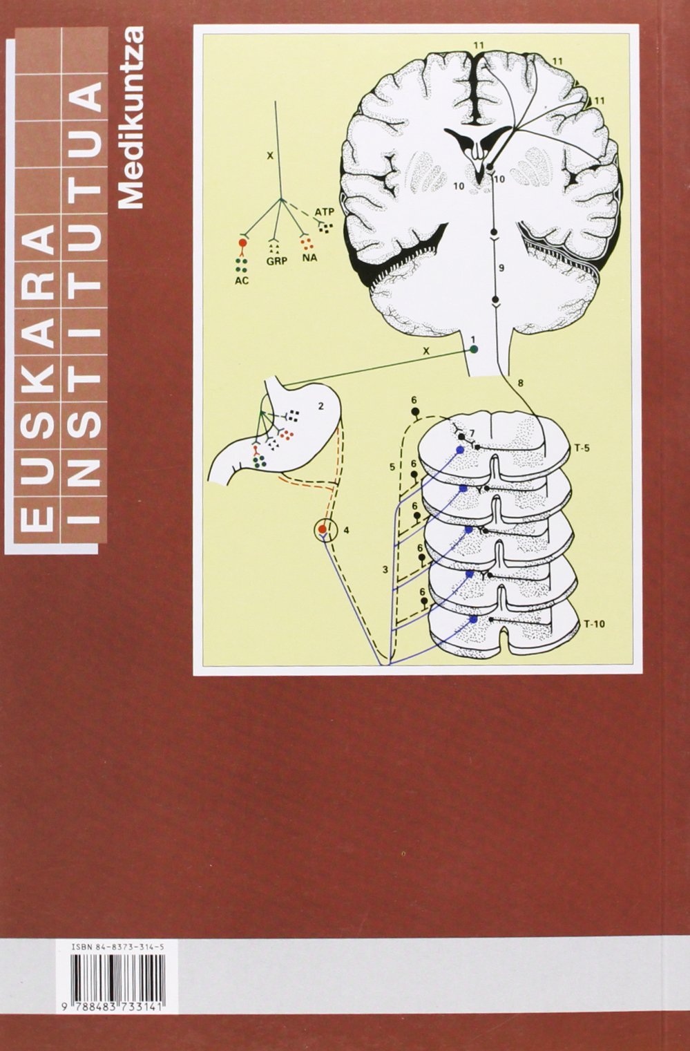 Digestio aparatuaren fisiologia eta patologia (Unibertsitateko Eskuliburuak - Manuales Universitarios)
