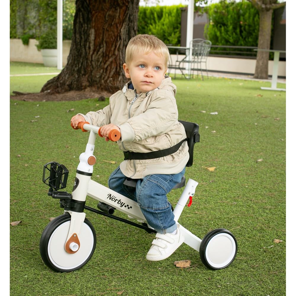 Interbaby Norby: 5 in 1 Dreirad und Laufrad mit Verdeck, 1 bis 5 Jahre