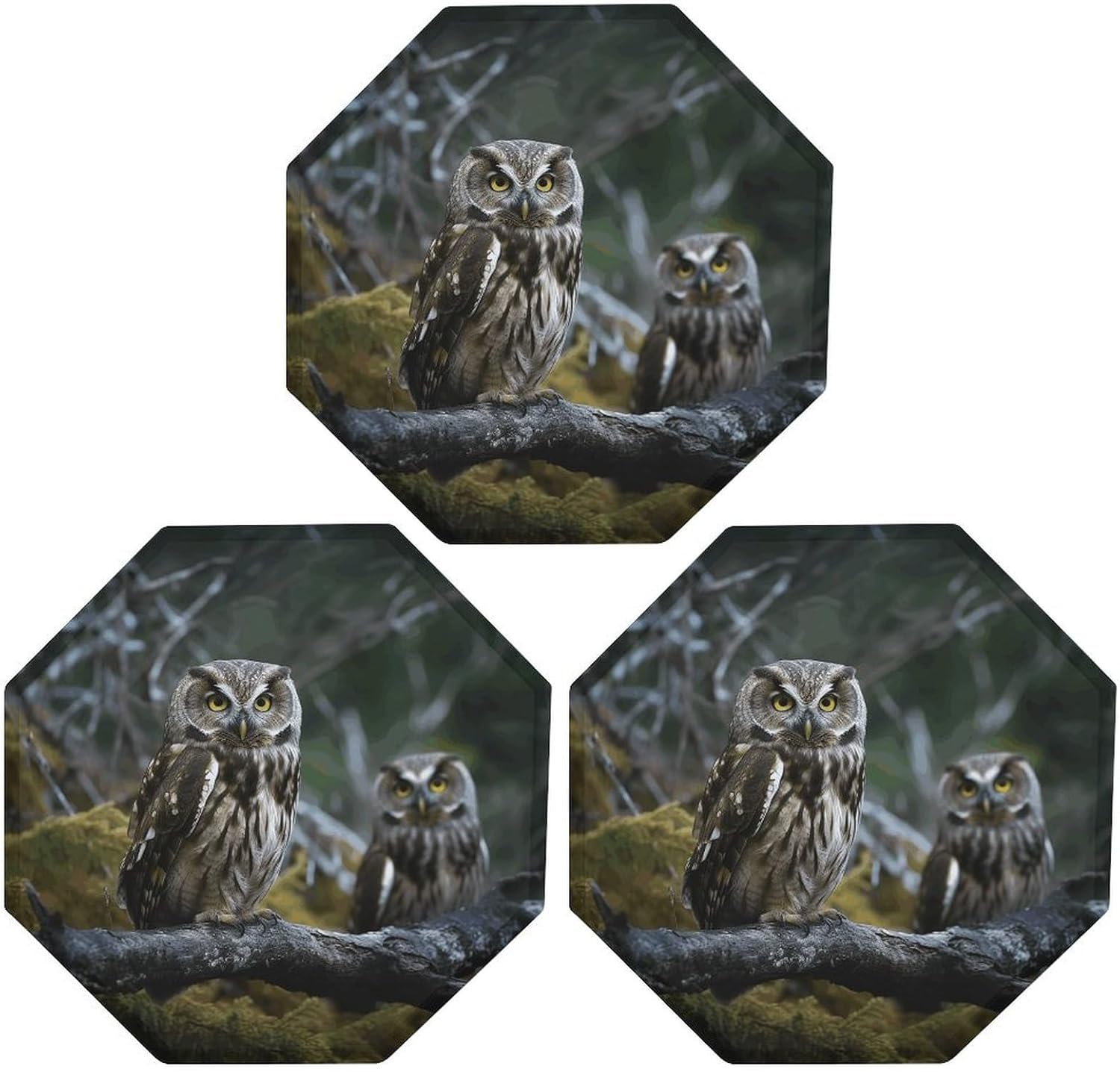 Ctagon Metal Sign for Home, Modern Display Plate for Kitchen, Wild Owl Birds Plates Accent Hanging Wall Decorations 3PCS for Living Room, Bedroom, Hallway, Hotel