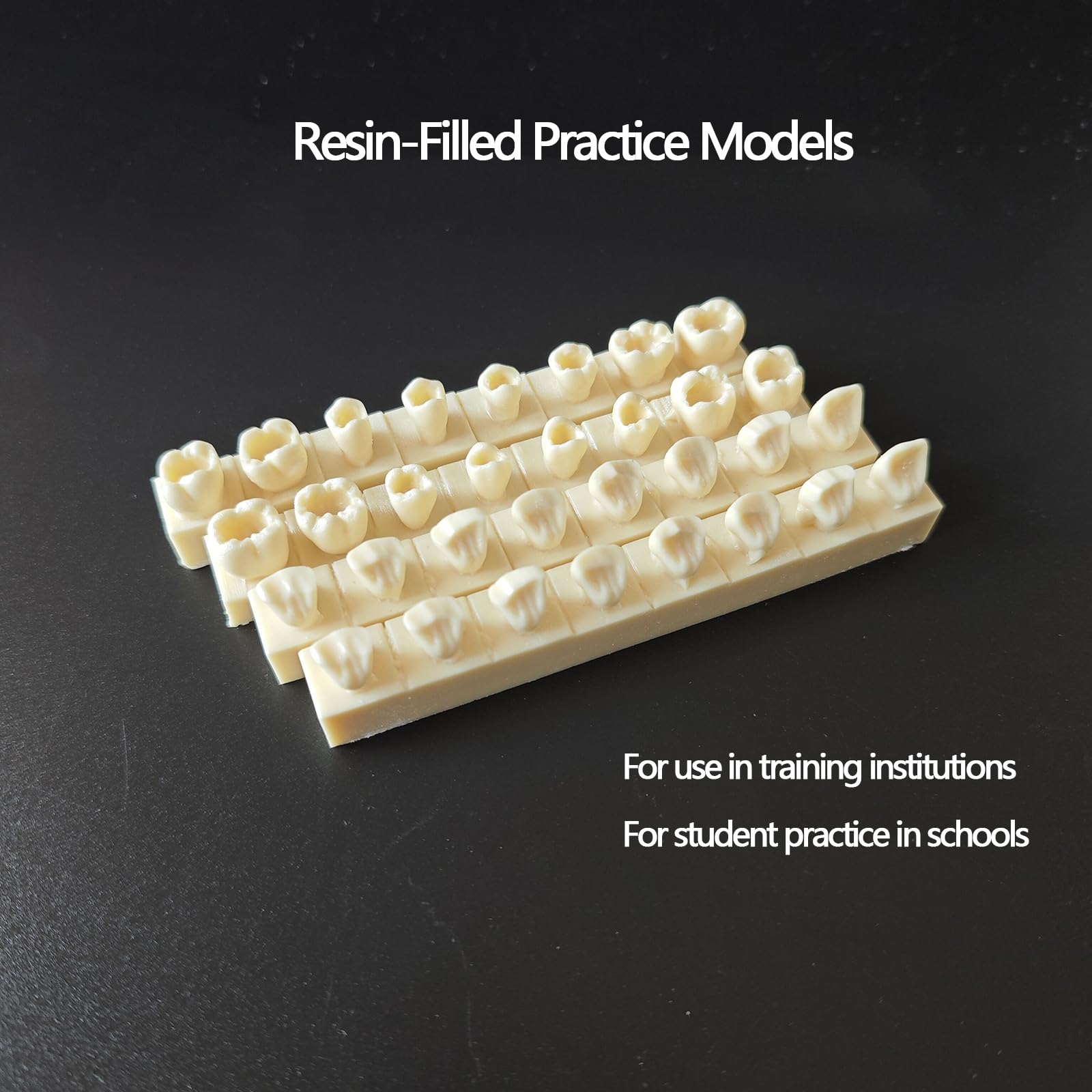 Modello di Pratica per otturazioni dentali in Resina 4 Pezzi Modello di cavità di Classe II Typodont per Studio e insegnamento