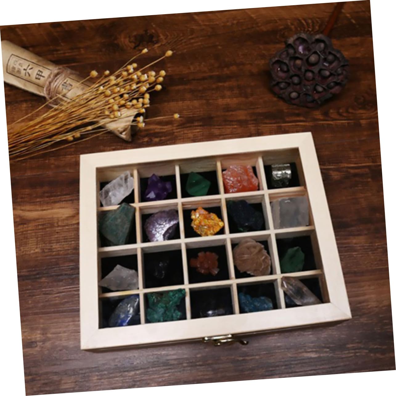 20 Stück Teiliges Mineralien Natursteine Sammlungsbox für Geologische Lehrproben für