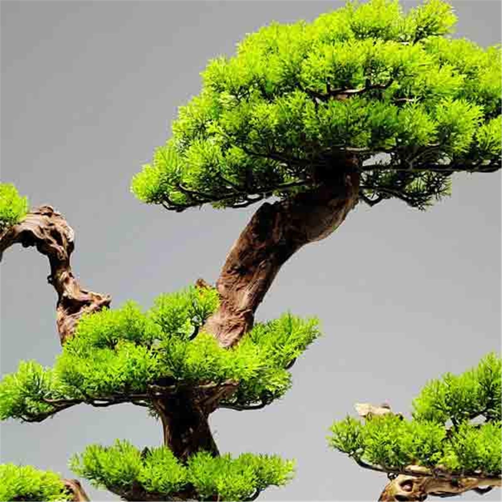 Sztuczne rośliny, sztuczne drzewka bonsai, dekoracyjne sztuczne rośliny do wnętrz z ceramicznymi doniczkami do domu, stołu, biura lub biurka.