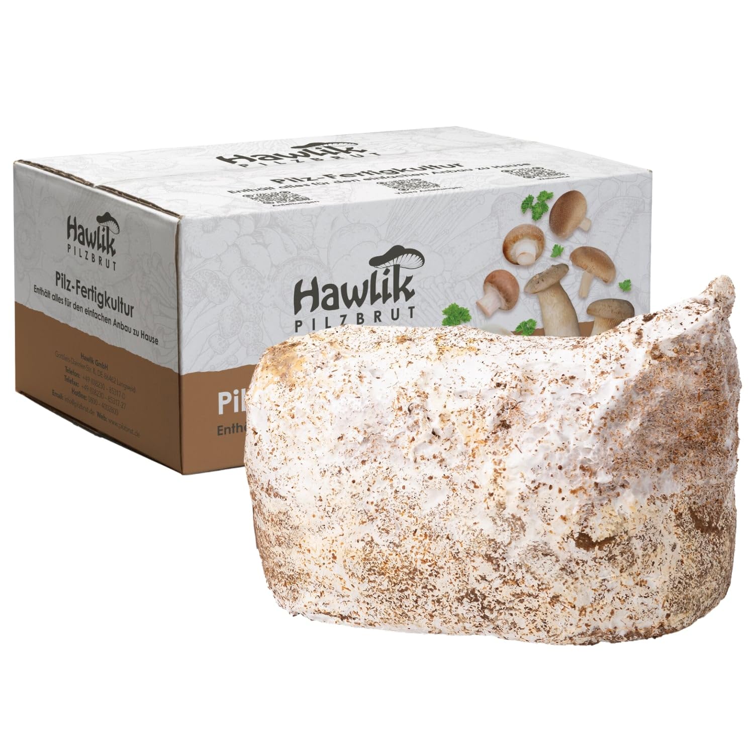 Hawlik Pilzbrut Kit de culture de champignons pour Lion's Mane/Hericium erinaceus - Culture de champignons bio pour une culture facile à la maison - Kit de culture de champignons à épines de hérisson