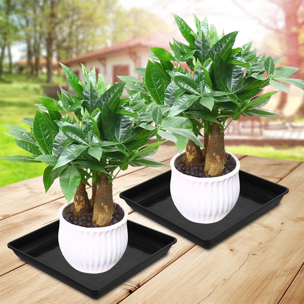 Mikinona Plato para Macetas Rectangular Negro de PP 3 Piezas para Plantas | Base Estable, Recoge Derrames y Tierra, Uso Diario en Alfombra, Formato Compacto para Flores