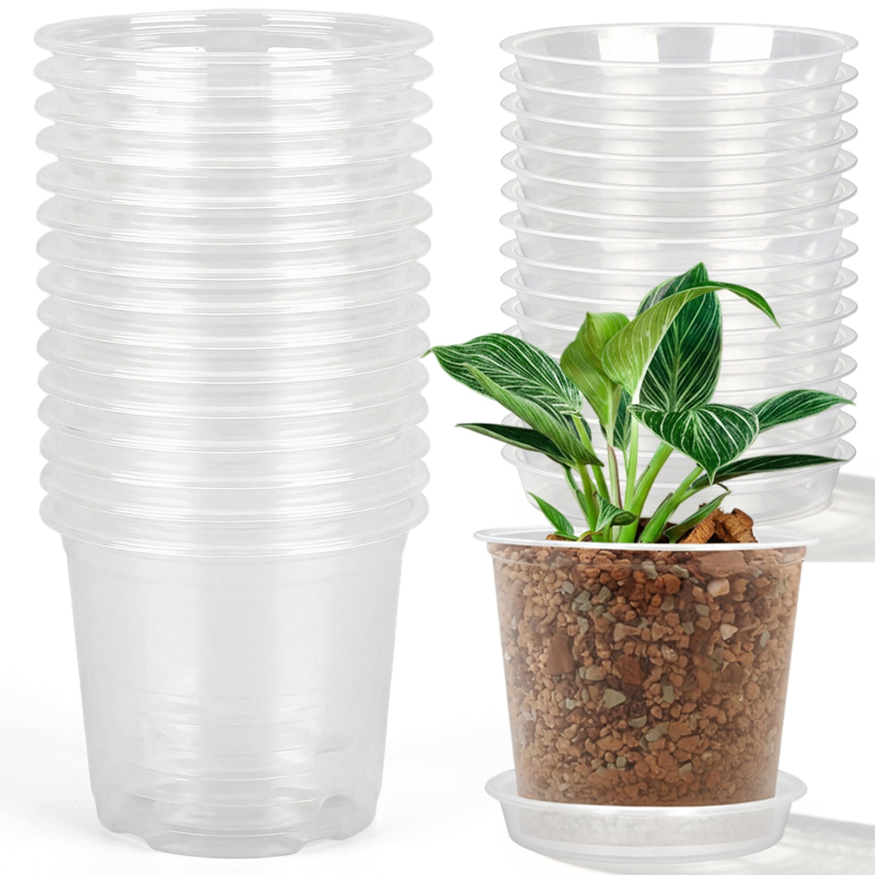 Pots de pépinière pour jardinage intérieur et extérieur, contenants transparents 15cm