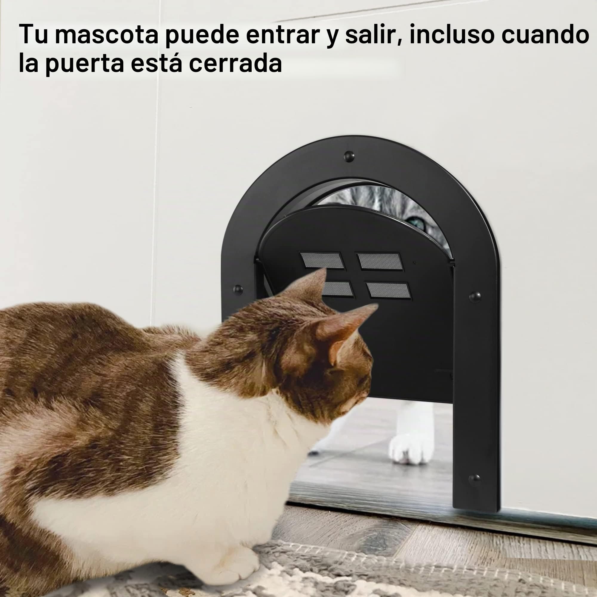 Wordcam Puerta interior para gatos, puerta interior con bloqueo de 2 vías para gatos de hasta 20 libras, puertas para mascotas para gatos, gatitos y perros pequeños (negro)