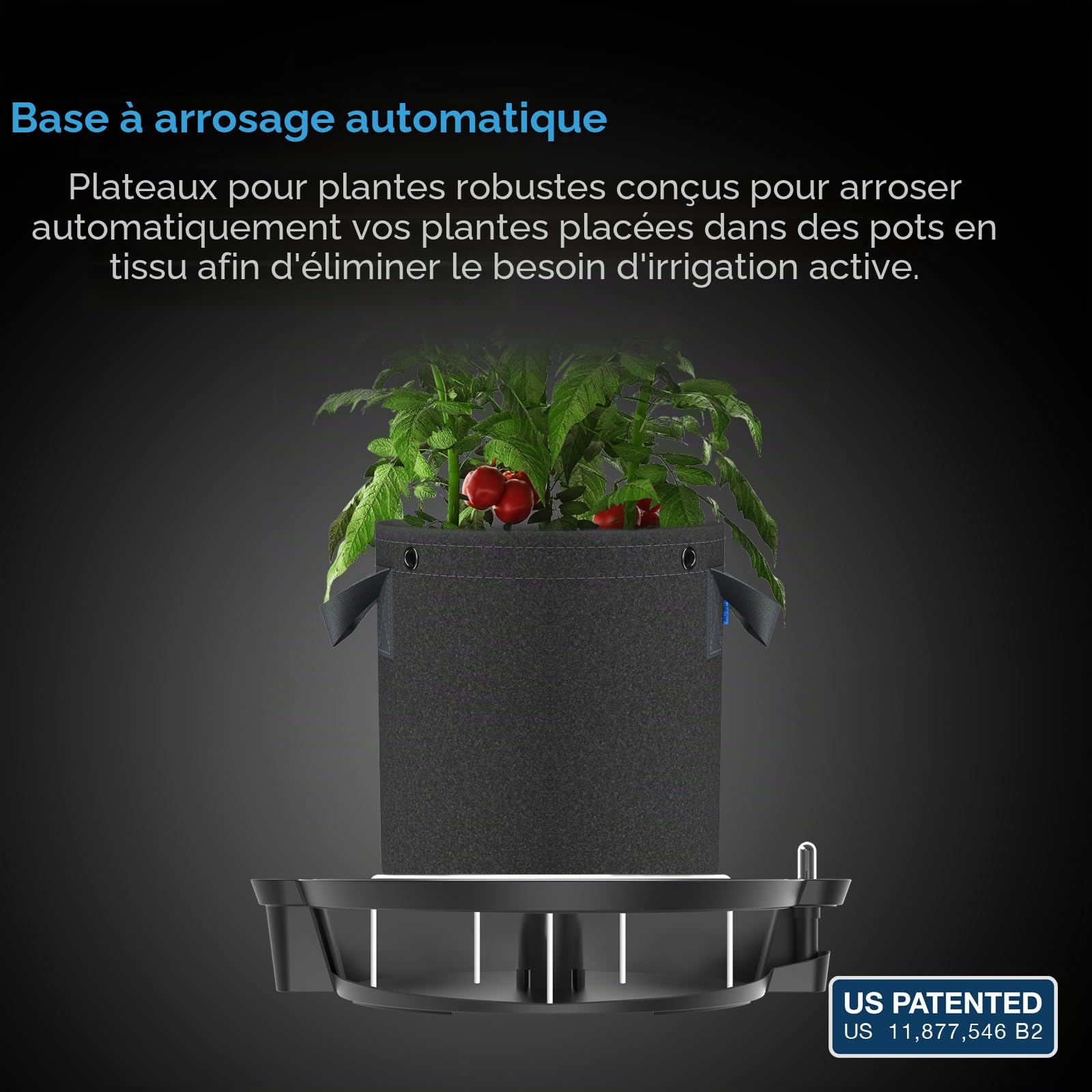 AC Infinity Lot de 4 bases de pot en tissu à arrosage automatique, système de distribution d'eau avec réservoir mètre, soucoupes surélevées pour une utilisation dans les tentes de culture intérieures,