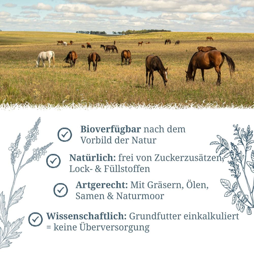 Krauterie Wilde Wiese Mineral - Grasfütterung für Pferde (3500g) | mineralisiertes und vitaminisiertes Ergänzungsfutter für Pferde in Spitzenqualität - getreidefrei, zuckerfrei, melassefrei