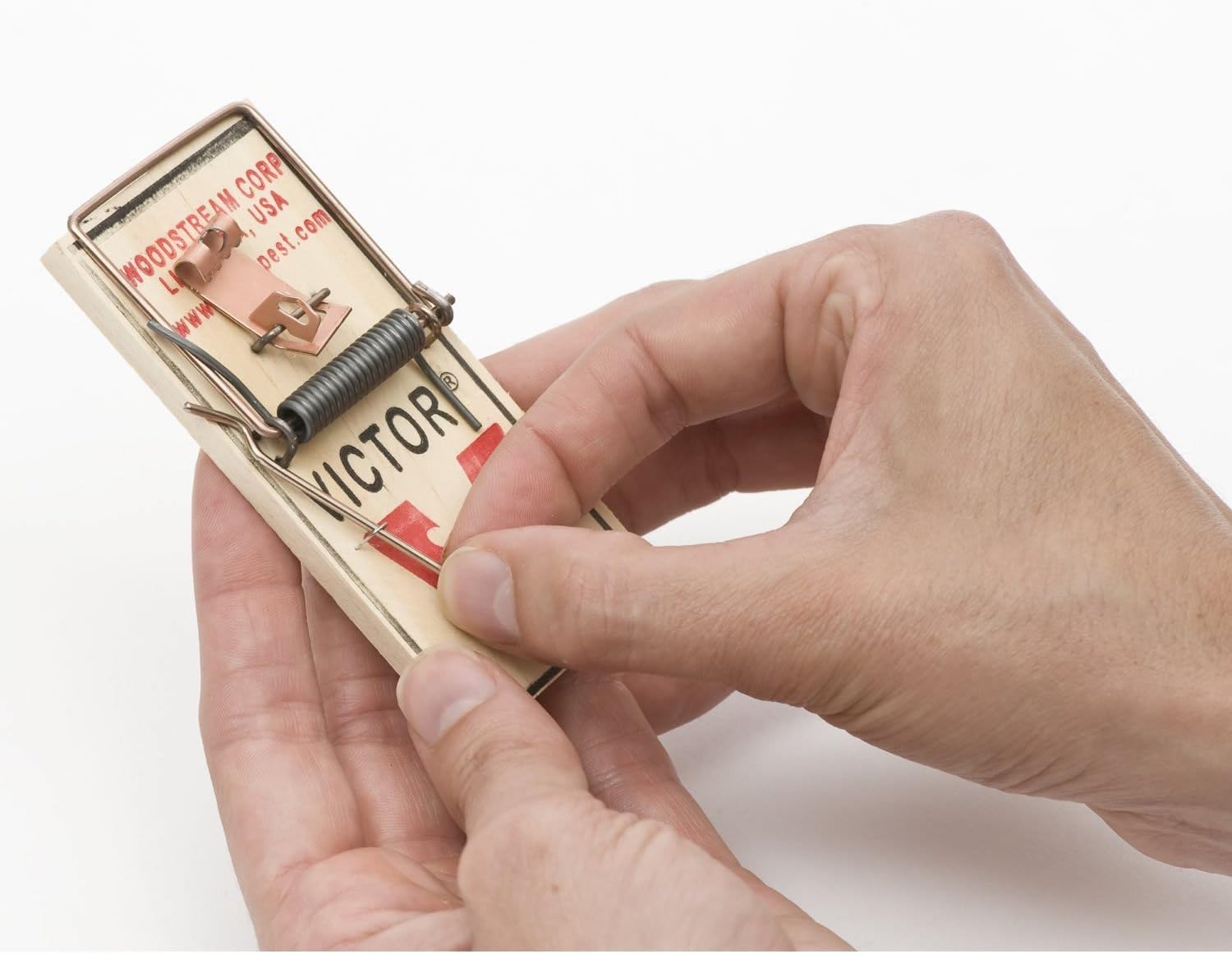 Victor Metal Pedal Mouse Trap - M023 - Wood Mouse Trap, Brown, 2 Count (Pack of 12)