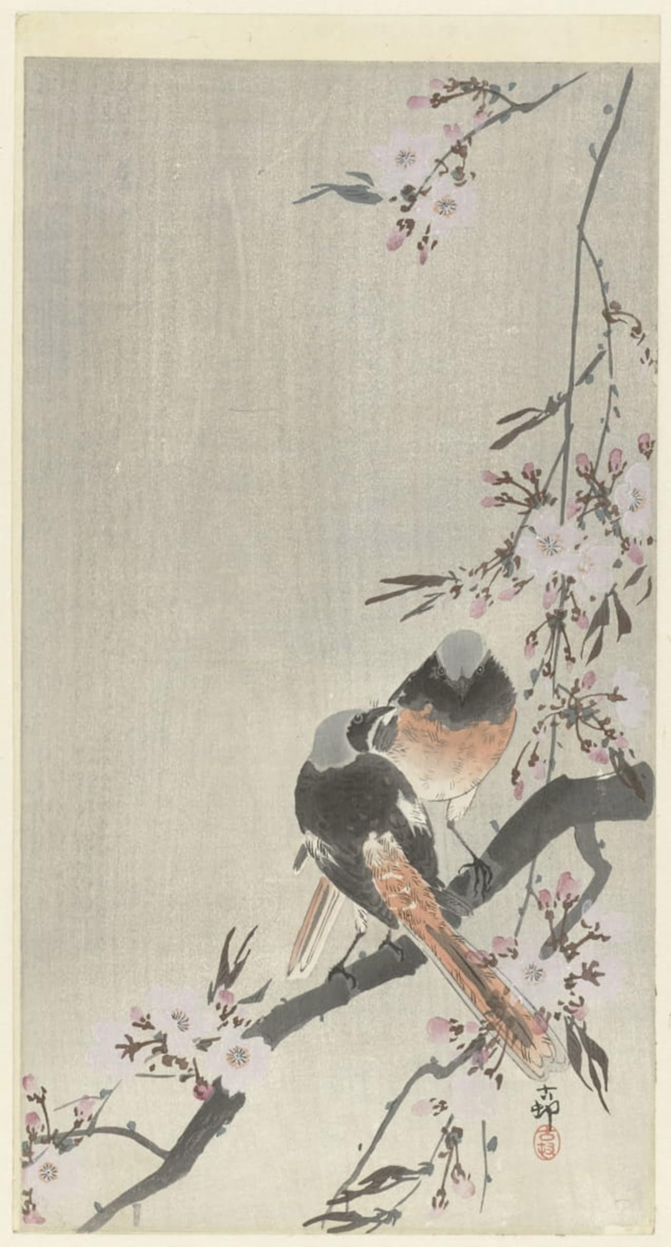 ARTXLXXBN Famous Prints Artwork Pictures Poster Painting Art Kingfisher with Flower by Ohara Koson Artwork Landscape Pictures for Home Decor 60x90cm
