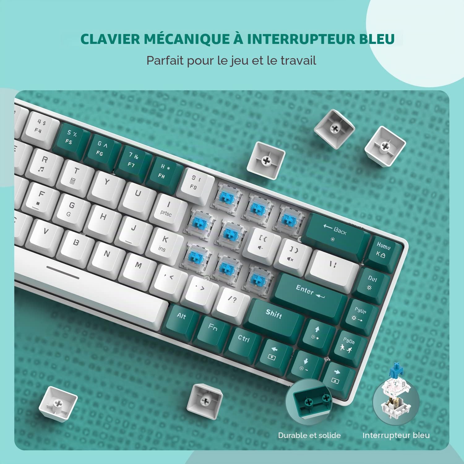 YINDIAO T8 Mini Clavier Mécanique de Jeu 60% - 68 Touches, Rétroéclairage 18 Chroma RVB, Interrupteur Bleu, Câble Spiralé USB C - Compatible PC, Laptop, Mac, PS4, Xbox - Vert