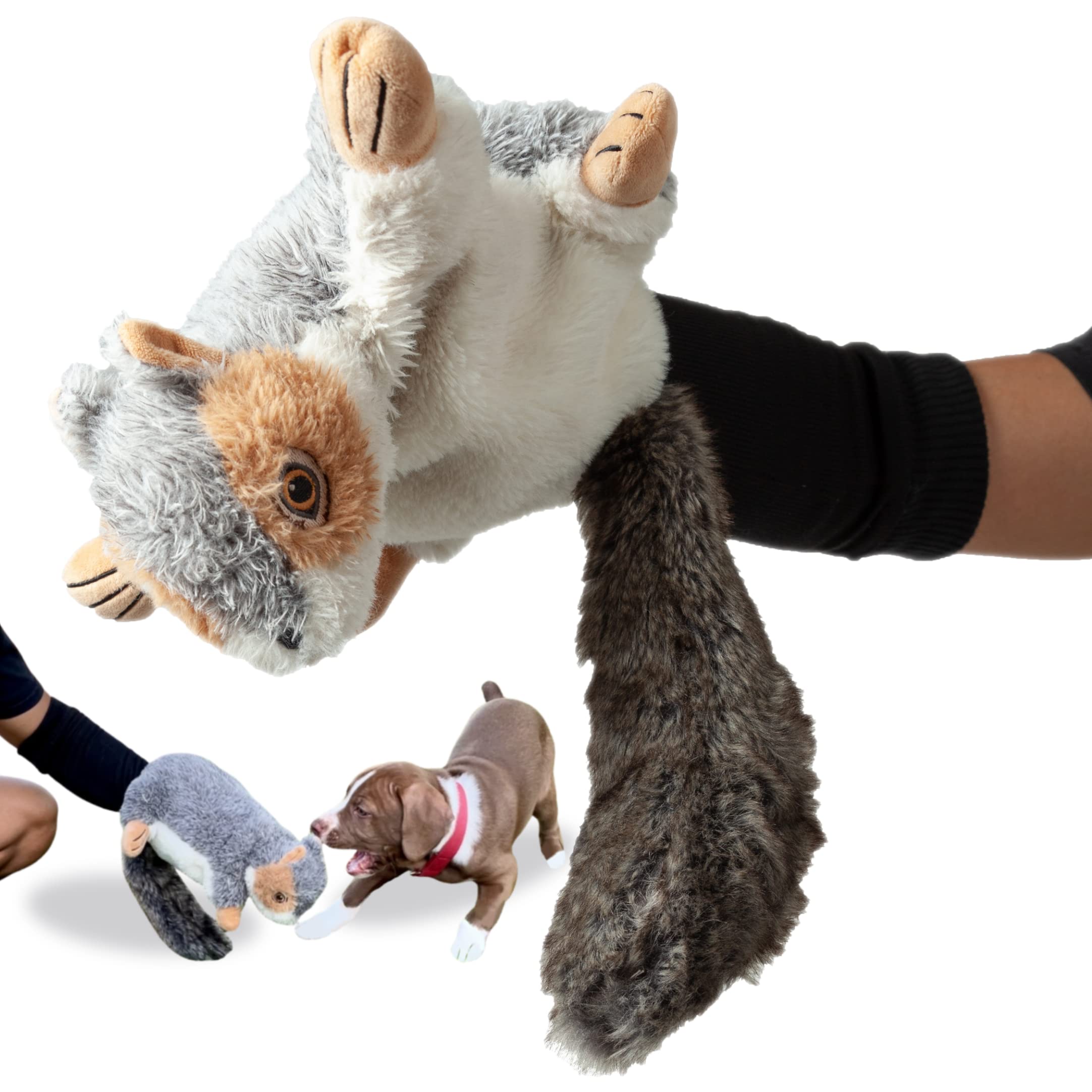 Why Do My Dogs Play Fight