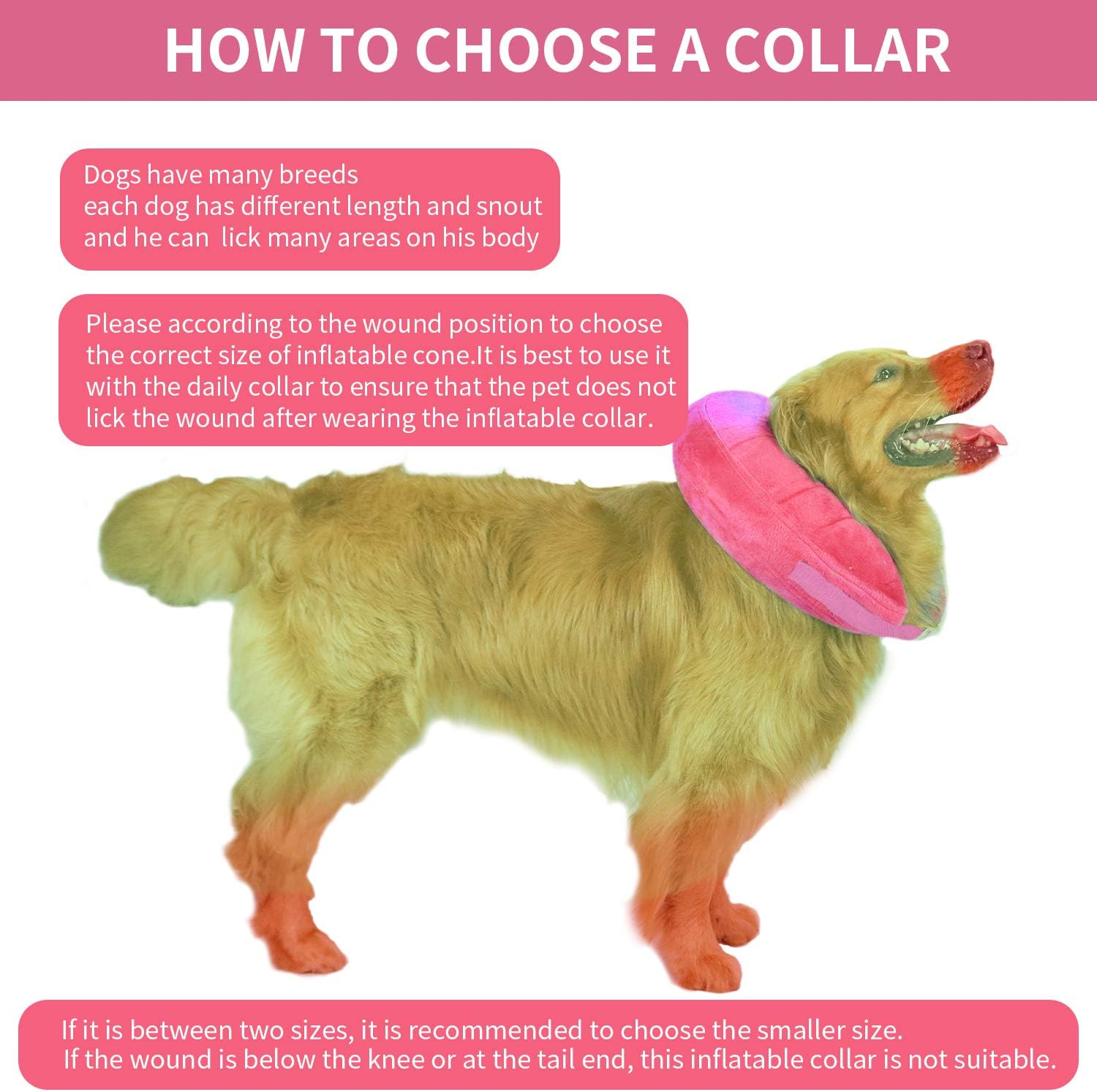X@HE Adjustable Inflatable Dog Cone Collar, Soft Protective Pet Recovery Cone, Elizabethan Collar for Dogs After Surgery or Wound (M, Pink)