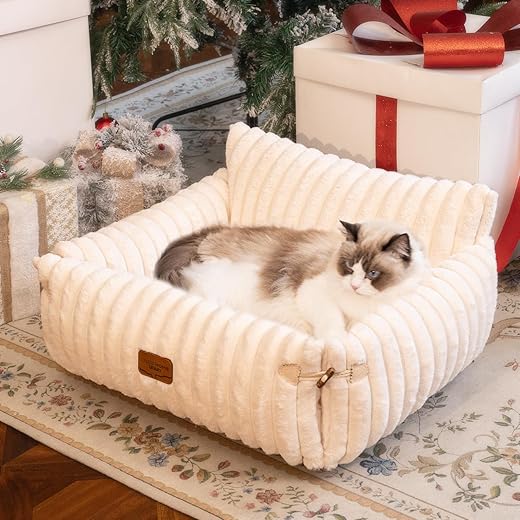 CHEERPALS Cat Couch Bed for Indoor Cats Fluffy Cat Sofa Recliner with Removable Washable Cover Cute Pet Lounge Suitable for Puppy Kitten (Off-White)