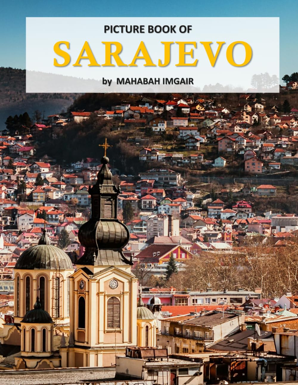Sarajevo: A Stunning Coffee Table Photo Book for Travel and Tourism Enthusiasts