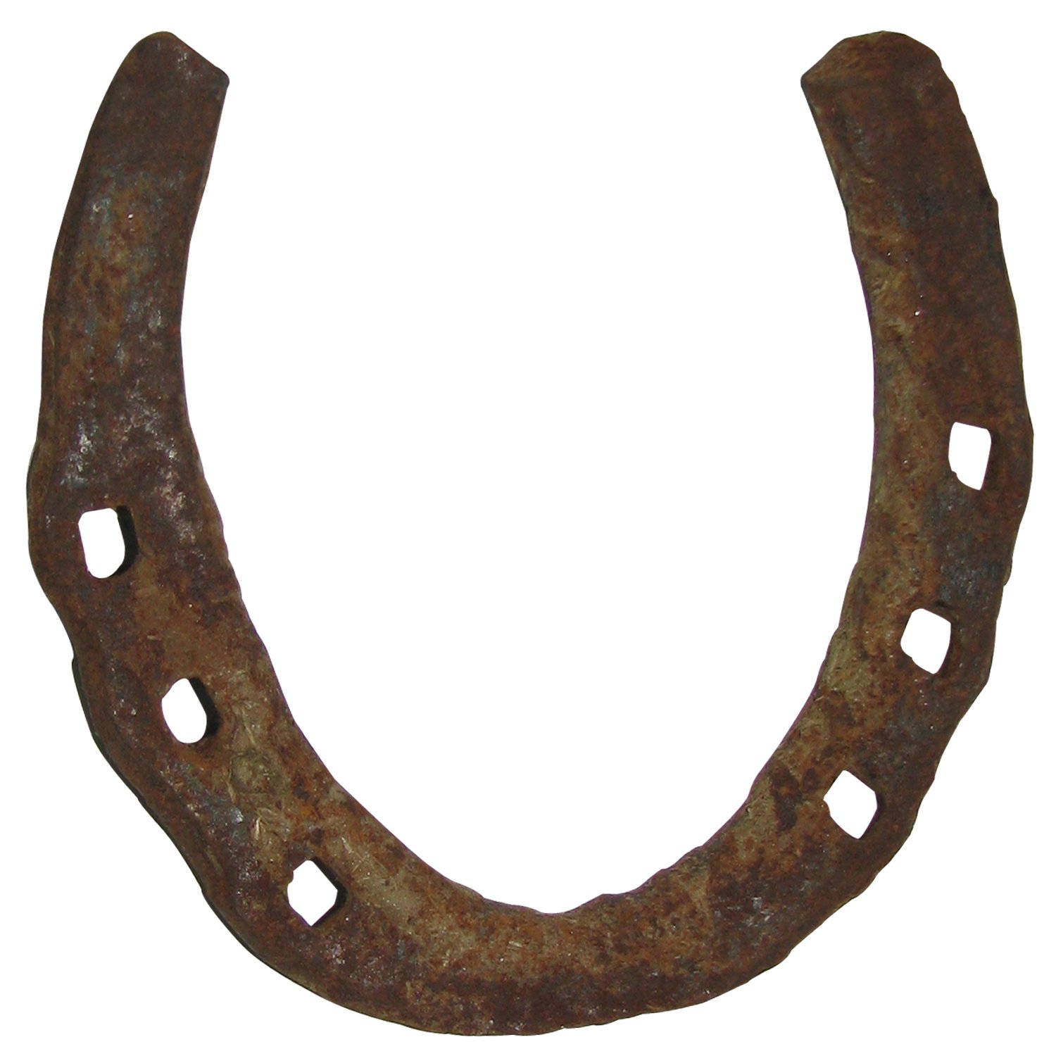 Bala Bharathi Brown Iron Asli Kaale Ghode Ki Naal Horse Shoes