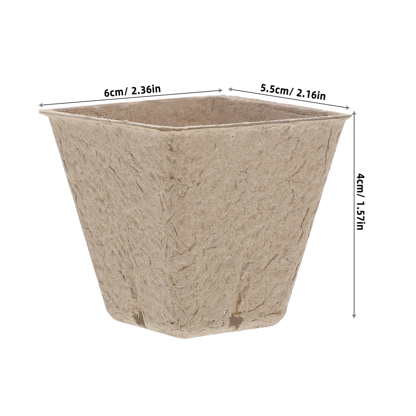 Kisangel 50pcs Flower Planting Kit DIY Paper Seedling Cups with Drainage Holes for Fun Gardening Crafts and Interactive Learning Activities