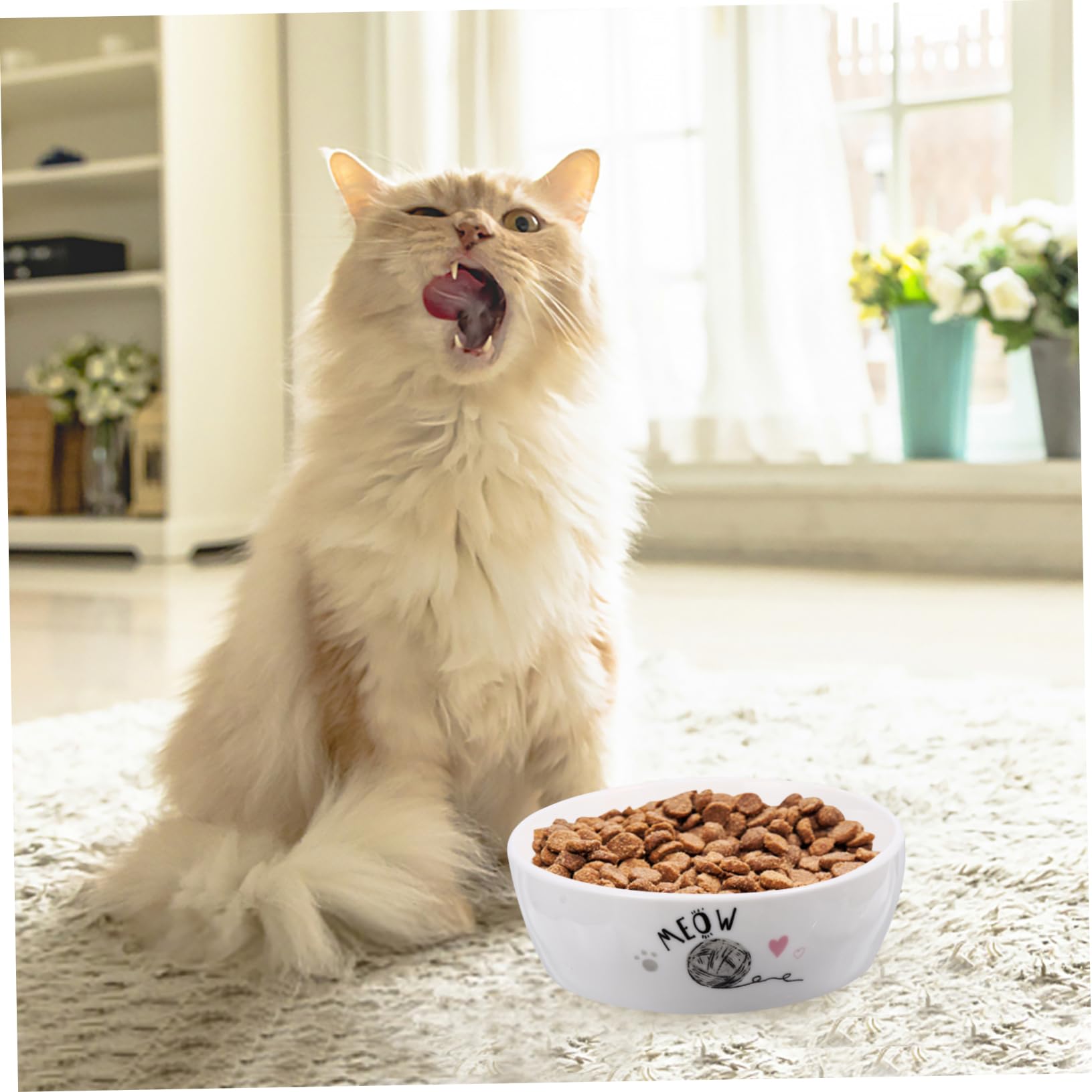 Keramik Katzennapf für Katzen und Kätzchen Leicht zu Reinigen Sicher Weiß für Täglichen Futterbedarf Zufälliger Stil
