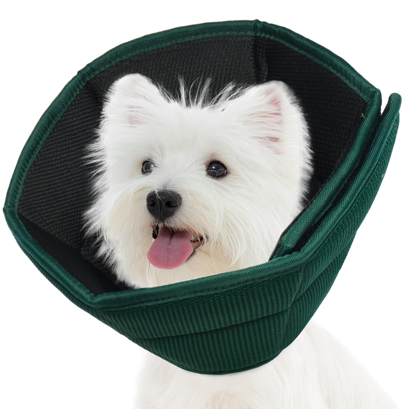 Photo 1 of Allroaring Breathable Medium Dog Cone, Comfy Cone After Surgery Green M