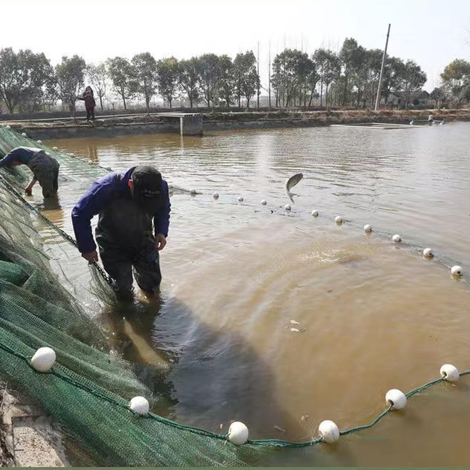 Drag Fish Net Trawl Fishing Trap Net Professional Seine Net Maximizes Catch  for River Blocking Minnow Height 2M/3M/4M