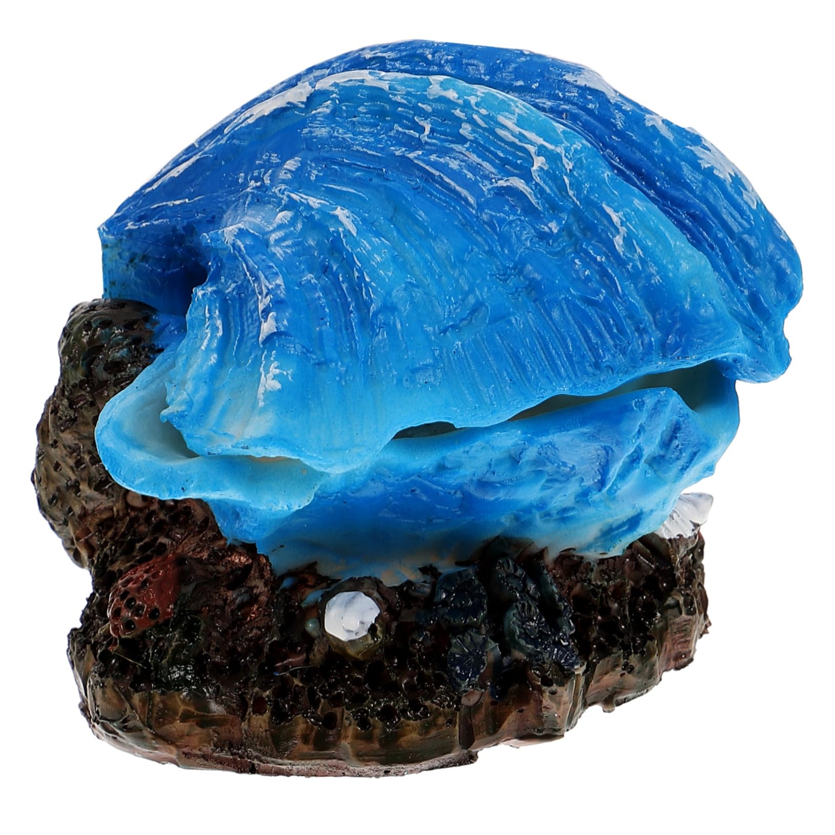 BESPORTBLE 5 Stück Aquarium Muschel Meerwassertank Dekoration Betta Aquarium Versteck Blasenherstellung Muschel Landschaftsbau Dekoration Dekoration