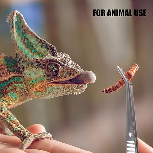 Miniatura 10 de Pinzas de acero inoxidable, con punta dentada curvada, pinzas multiusos para máquina de coser, pinzas para reparación de manualidades (5 unidades)