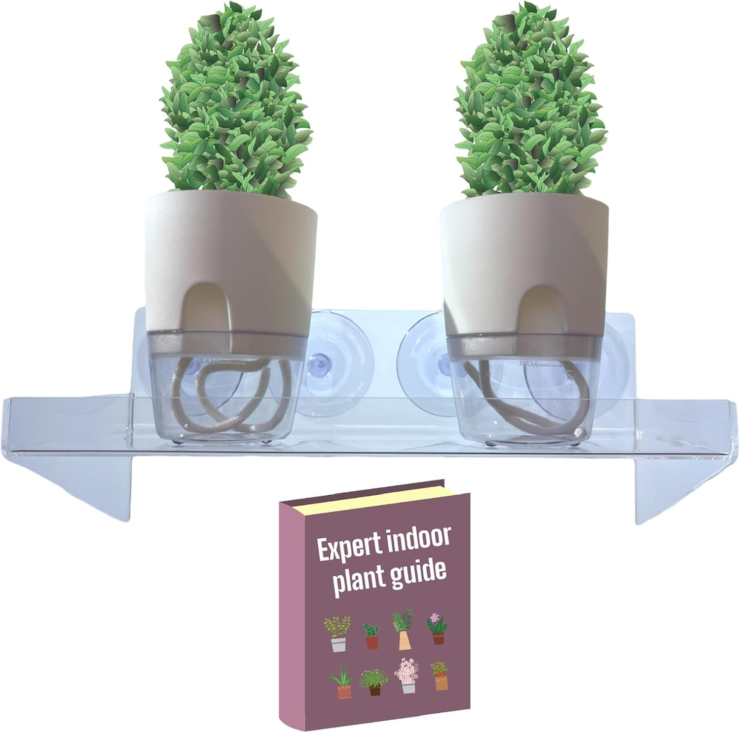 Amazon.com: Indoor Window Shelf for Plants (12x5 inches, Clear ...