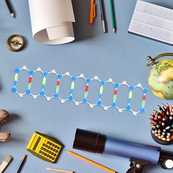 Mobestech 3セット 科学モデル DNA構造キット 頑丈 教室の装飾 インタラクティブ学習 二重らせん