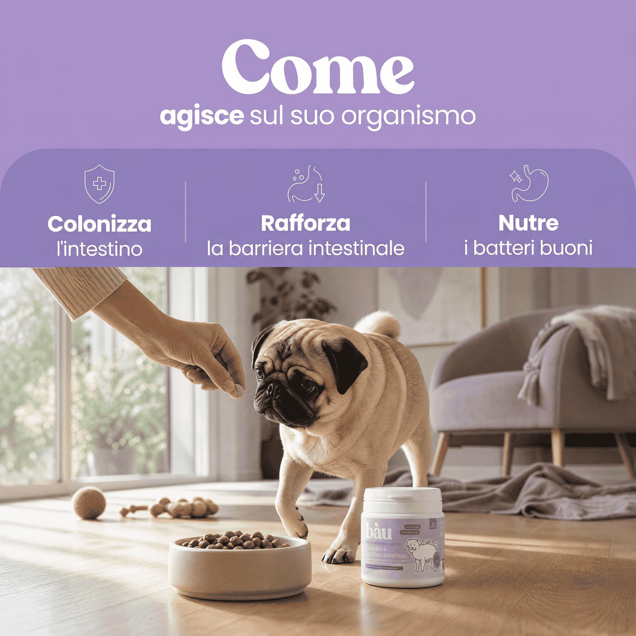 Bau Probiotici per Cani, Fermenti Lattici Cane, Supporto Gastrointestinale Cane, Probiotico Digestivo per Cani Prurito, Integratore Diarrea Cane con Ingredienti Naturali, Probiotico Cane (120)