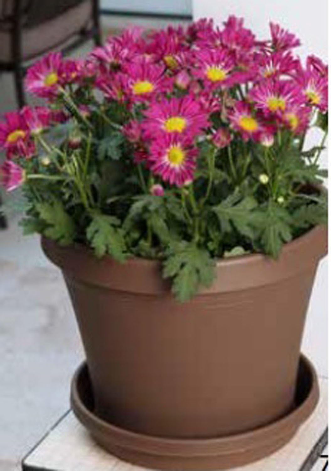Bloem Terra Pot Planter - 20" - Terra Cotta