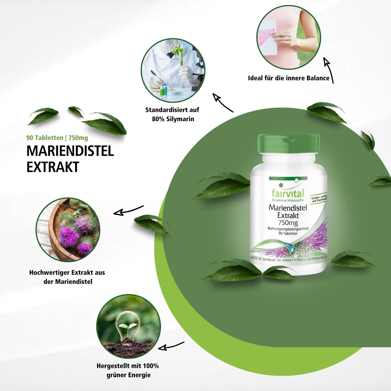 fairvital Mariendistel Extrakt 750mg, 90 Tabletten, HOCHDOSIERT mit 750mg Mariendistel Extrakt pro Tablette, VEGAN, 80% Silymarin