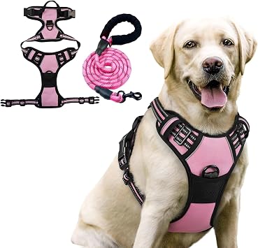 Dog Harness and Leash Set,Eflective and Breathable Pet Harness, Adjustable Comfortable Soft Padded Vest Harness Easy Control with a Free Heavy Duty 5ft Dog Leash. Pink, Medium