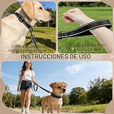 Ver la foto 4