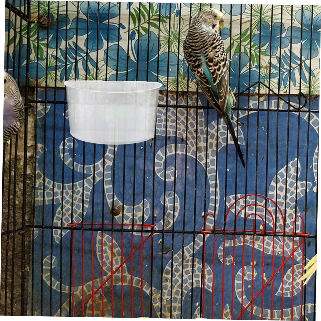 DOITOOL 12pcs Plastic Bird Cage Cups for Pigeon Feeding Watering Capacity Hanging Bird Bowls for Cage Easy to Install
