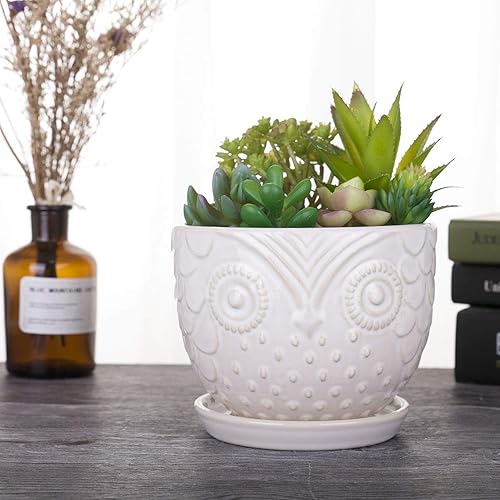 Miniatura 7 de VanEnjoy Macetas de cerámica de búho blanco de 6.5 pulgadas para plantas medianas, suculentas, con platillo