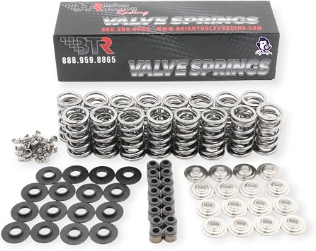 Brian Tooley Racing BTR LS .660 "مجموعة الينابيع البلاتينية ذات الصمامات المزدوجة مع Retainers SK001 Titanium