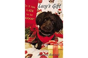 Lucy's Gift redwells makeup