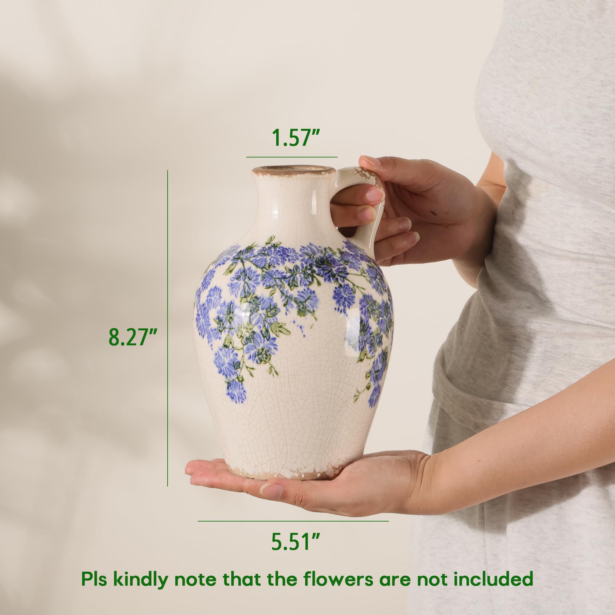 Amazon.com: Ronasip Vintage Flower Vase with Handle Retro Ice