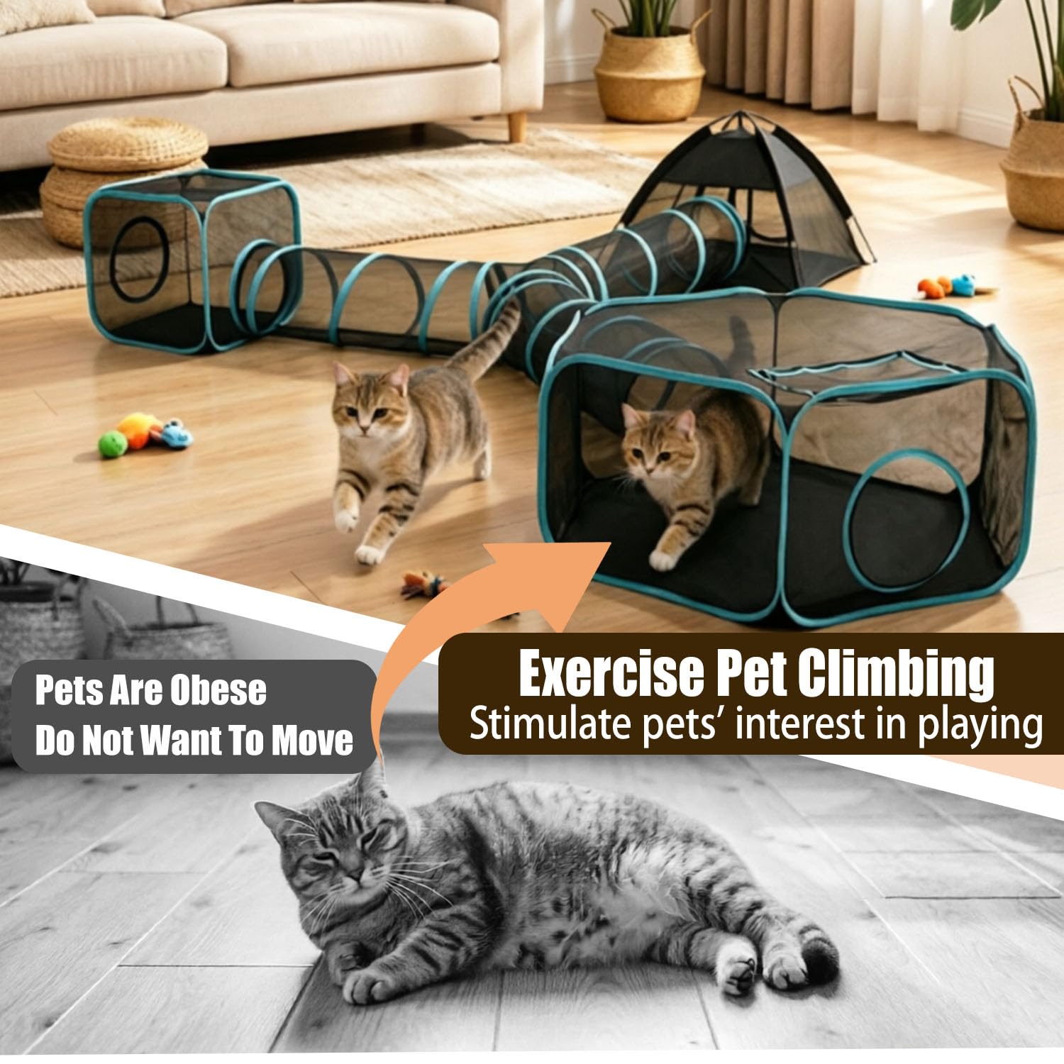 4 in 1 Katzentunnel und Katzenzelt, Outdoor Katzengehege für drinnen und draußen, Pop Up Katzenlaufstall mit anschließbaren Katzentunneln für Katzen, Kaninchen & Kleintiere