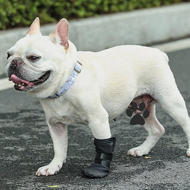 Foto 3 de 7 de Zeizafa Bota protectora de patas de perro, tamaño grande, resistente al agua, suave