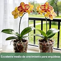 Vista 6 de Halatool 2 LB Guijarros de arcilla expandida natural de 2 libras para plantas 4mm-16mm Bolas de arcilla 100% orgánicas Hydroton Leca para plantas
