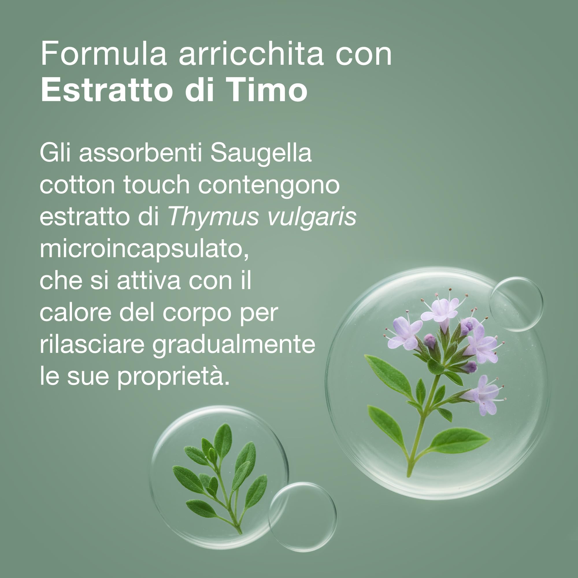 Saugella Cotton Touch Post Parto, 10 Assorbenti Cotone Post Parto, Senza Strato Adesivo, Azione Antibatterica, Lenitiva