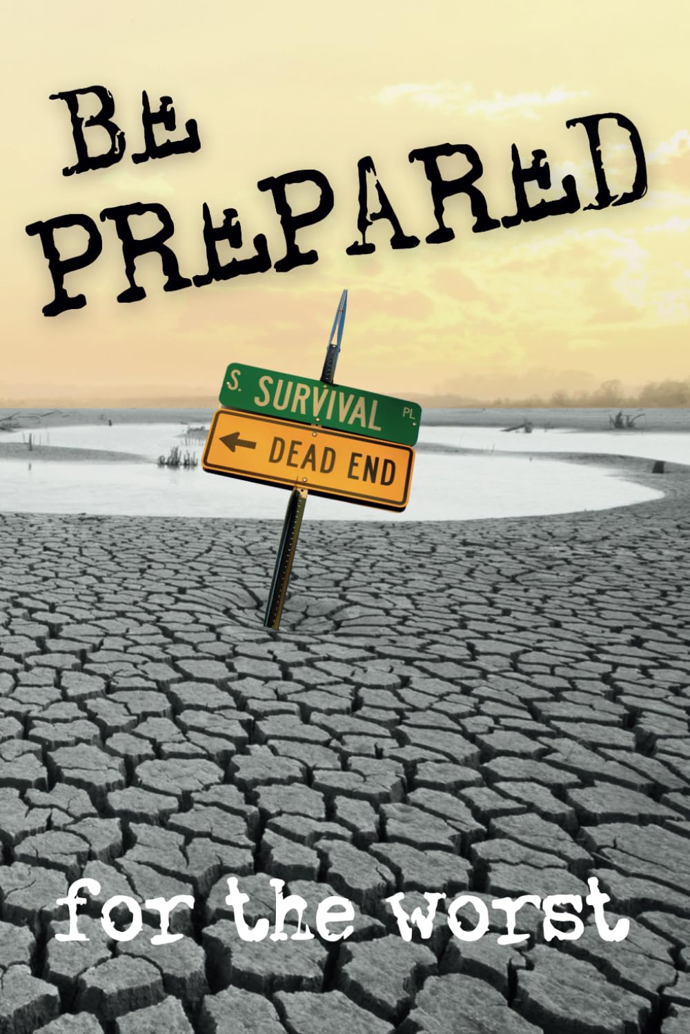 Be Prepared For The Worst: Be Ready for Any Crisis │ Prepper's Essential Guide to Surviving the economic meltdown │150 pages │ Surviving Financial and Dollar Meltdown, Natural Disaster, Doomsday Event