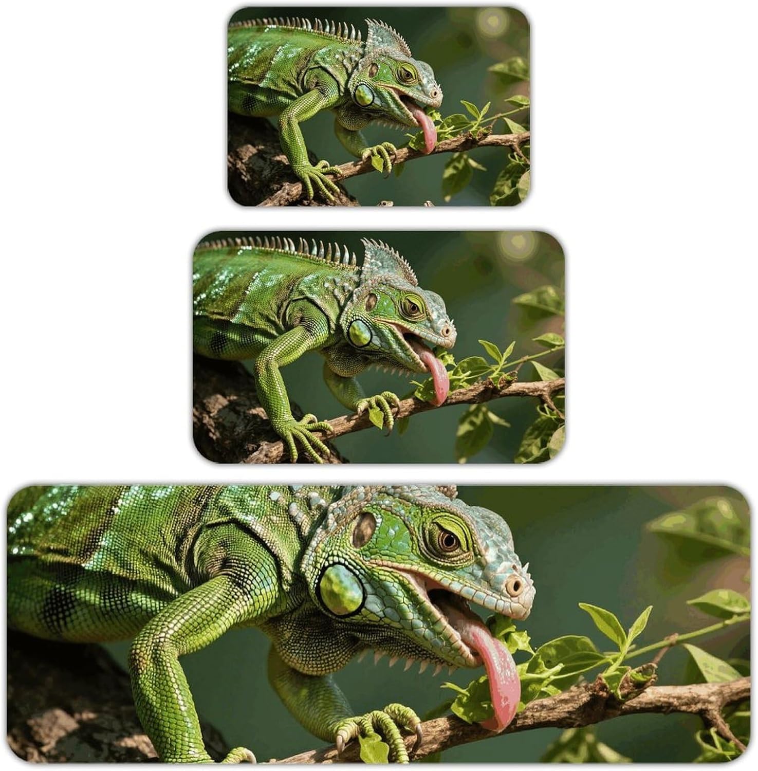 Green Iguana Feeding Kitchen Mats for Floor 3 Pcs Kitchen Rugs