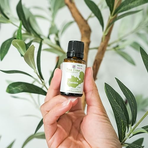 Miniatura 6 de Aceite de árbol de té, directo de Arulussa Farms en Zambia, 100% puro, grado terapéutico, aceites esenciales a granel (2 libras)