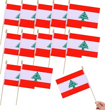 12Pcs Small Lebanon Flags on Wooden Stick Mini Lebanese Flag Hand Held Flag Decorations,5x8 Inch