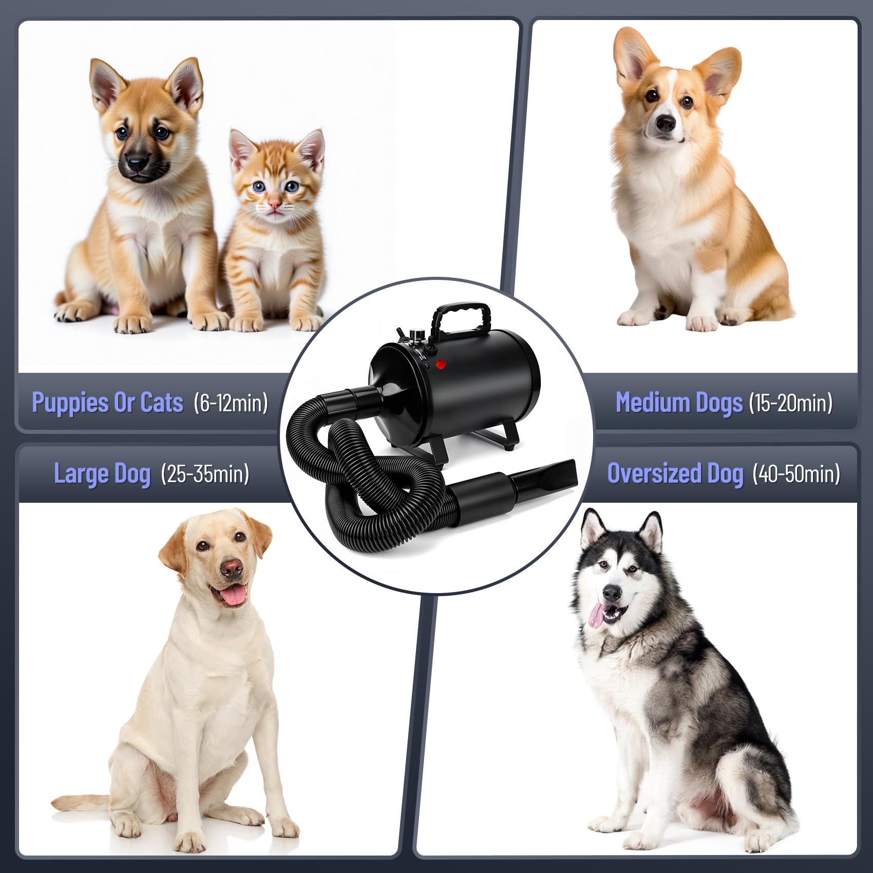 Sèche-Cheveux pour Chien 4,3CV/3200W avec 3 Niveaux de Température, Débit d’Air Réglable en Continu et 5 Buses – Séchoir Professionnel pour Toilettage d’Animaux