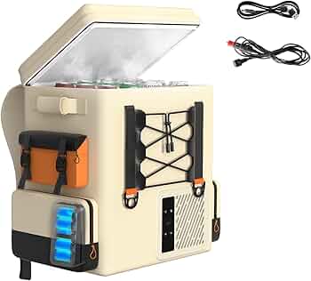 Amazon.co.jp: Litheli ポータブル冷蔵庫 16L -20℃～20℃ 急速冷凍 車載