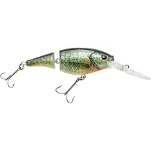 Berkley Crankbait Hard Fishing Lure