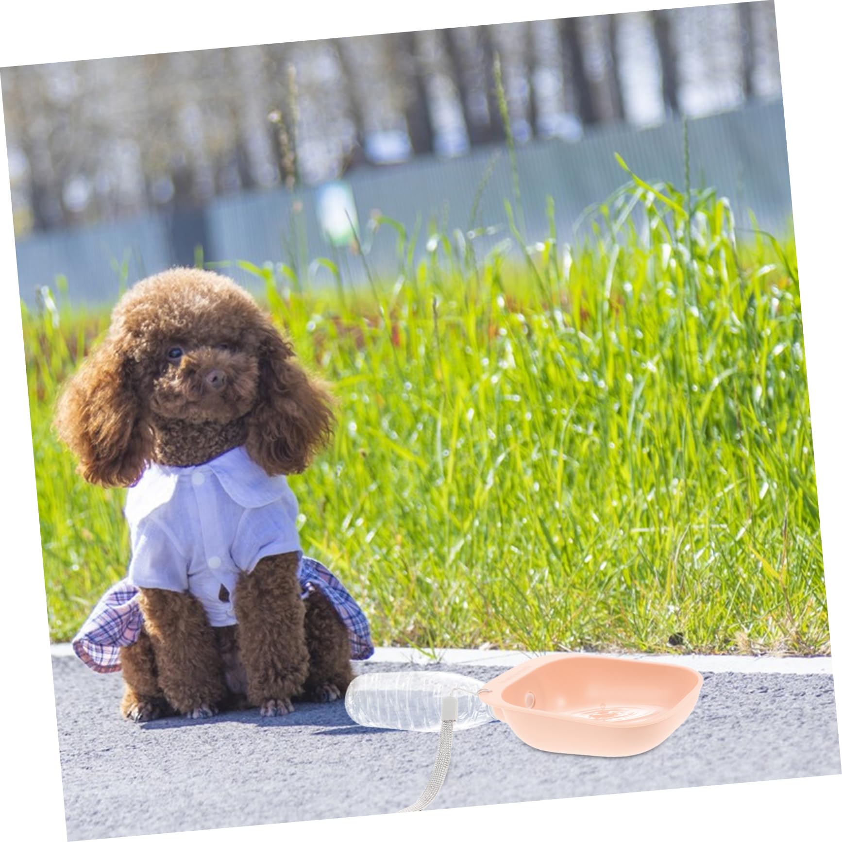 ERINGOGO Portable Dog Water Bowl Convenient Mineral Water Bottle Attachment for Space Saving Sturdy Material for Outdoor Adventures and Hydration The Go